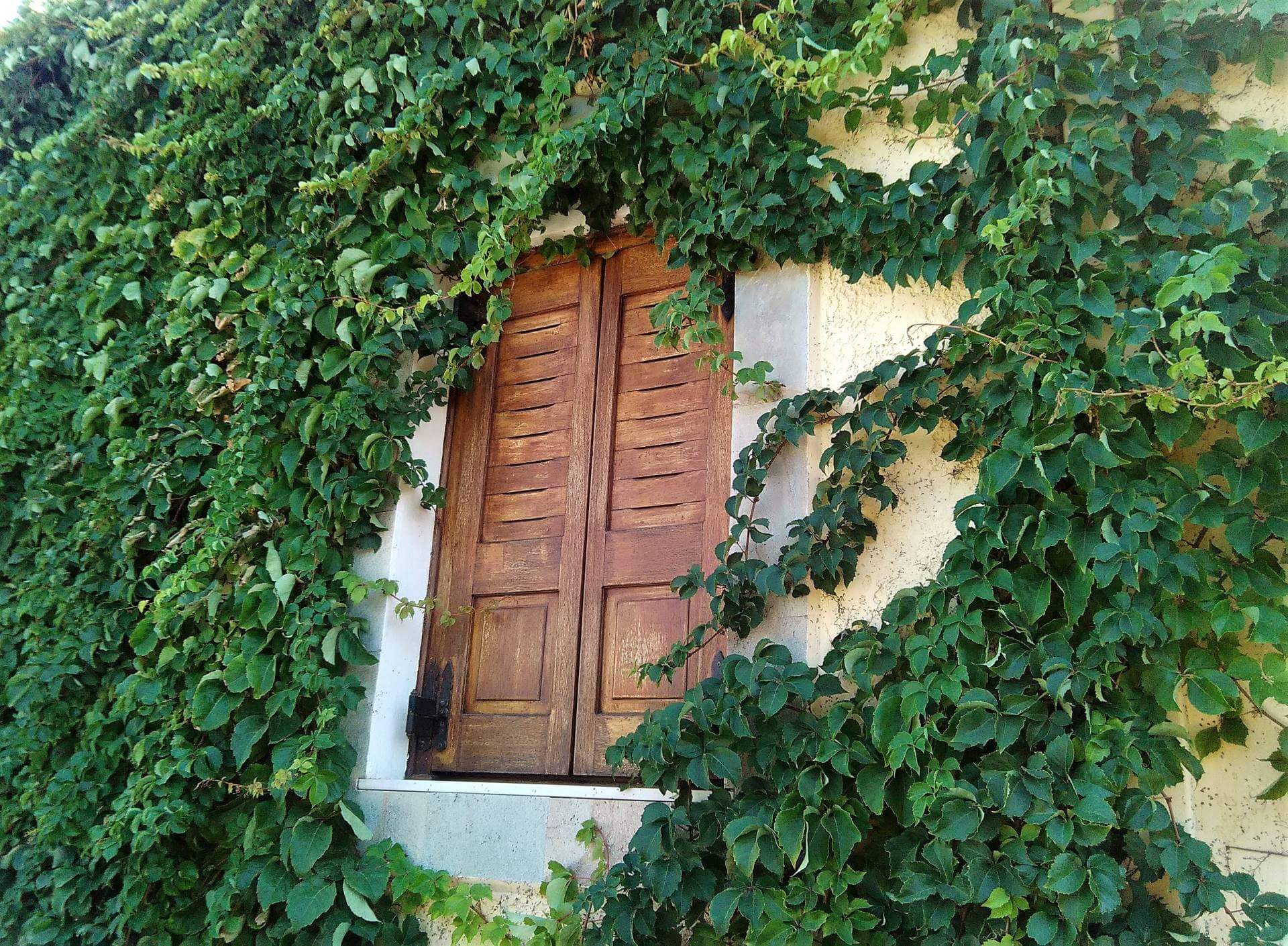 Grandes Apartments θέα